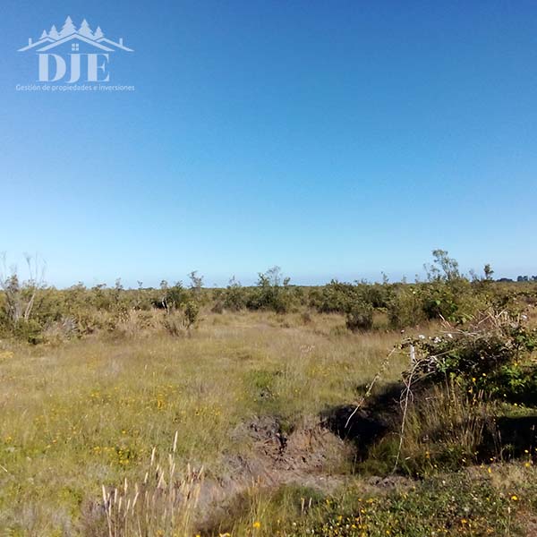 Parcela en venta en Los Muermos — foto 2
