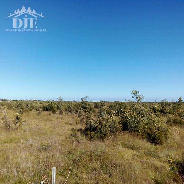 Parcela en venta en Los Muermos — foto 3