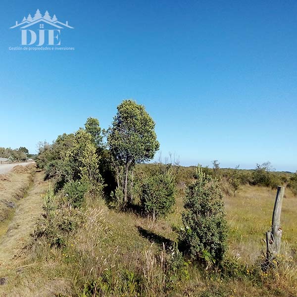 Parcela en venta en Los Muermos — foto 4
