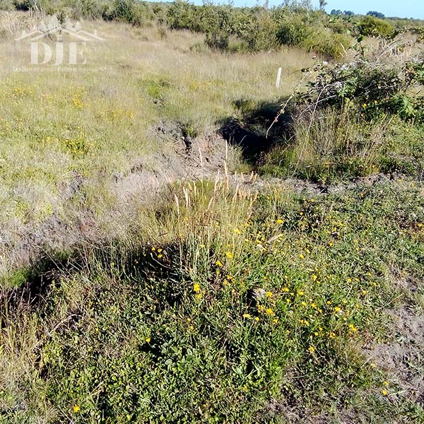 Parcela en venta en Los Muermos — foto 6