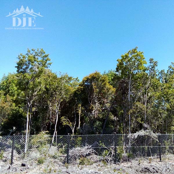 Parcela en venta en Maullín — foto 1