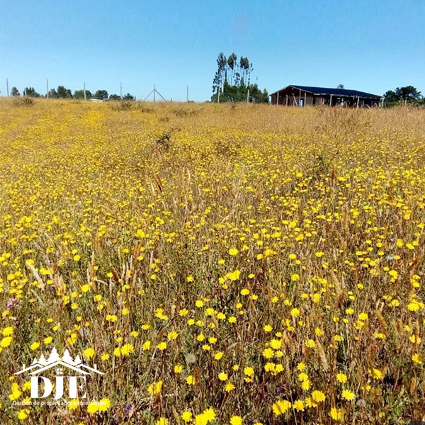 Parcela en venta en Maullín — foto 2