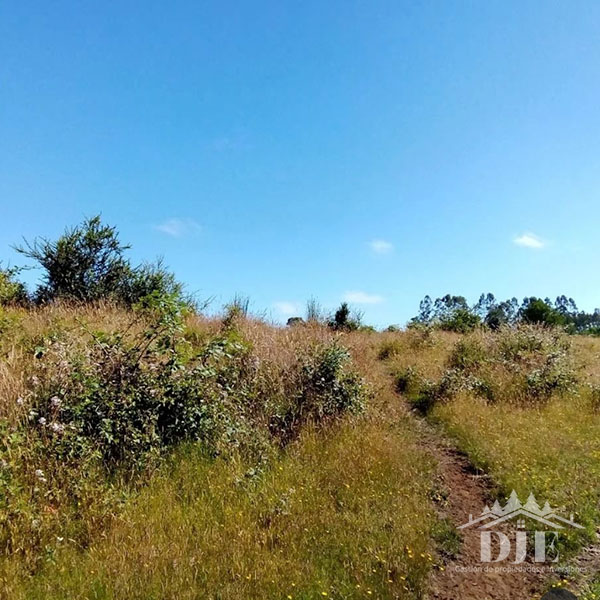 Parcela en venta en Maullín — foto 3