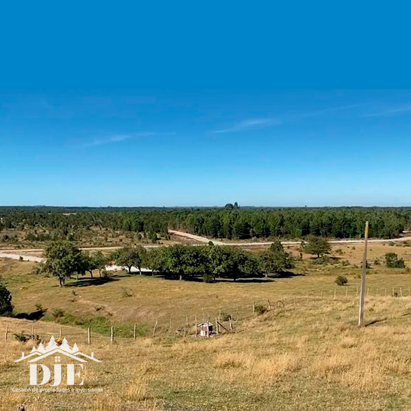 Campo en venta en Maullín — foto 1