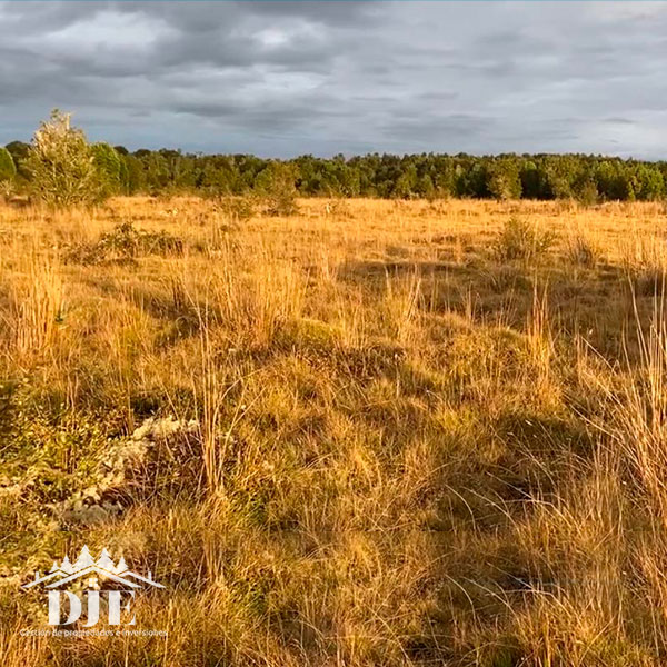 Campo en venta en Maullín — foto 2