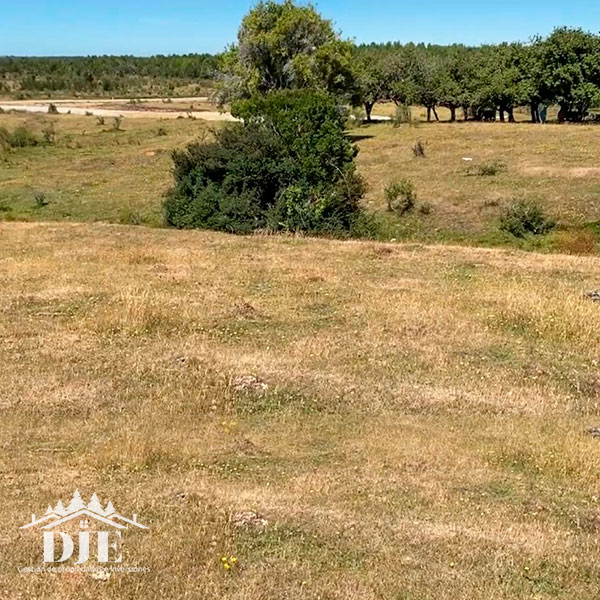 Campo en venta en Maullín — foto 4