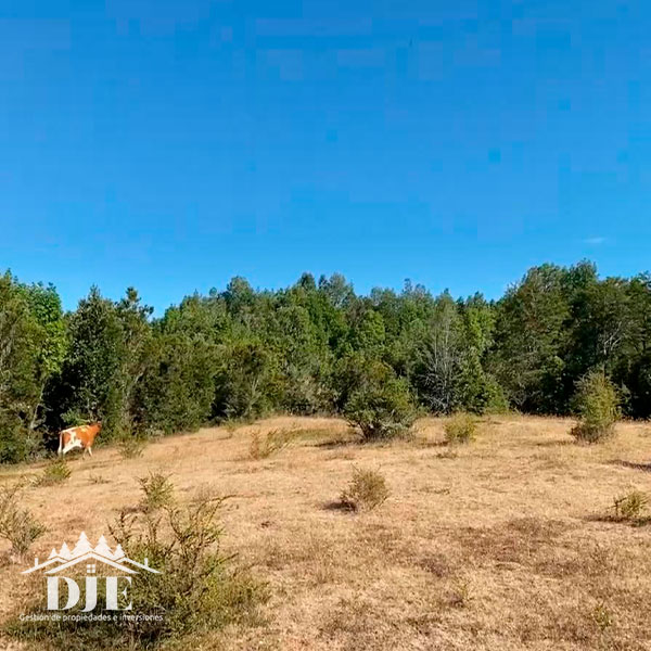 Campo en venta en Maullín — foto 5