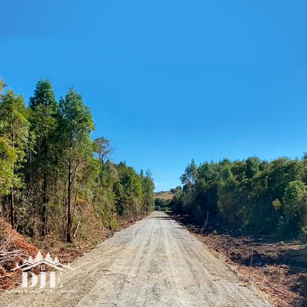 Campo en venta en Maullín — foto 6