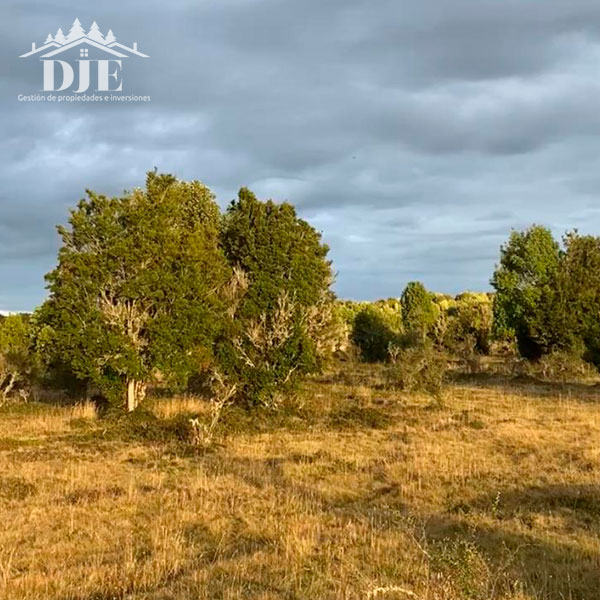 Campo en venta en Maullín — foto 7