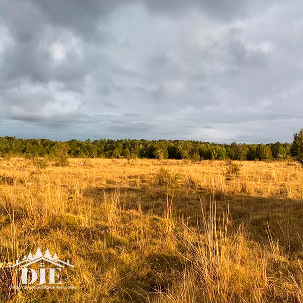 Campo en venta en Maullín — foto 8