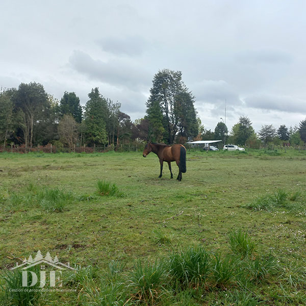 Terreno en venta en Puerto Montt — foto 8