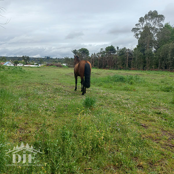 Terreno en venta en Puerto Montt — foto 9