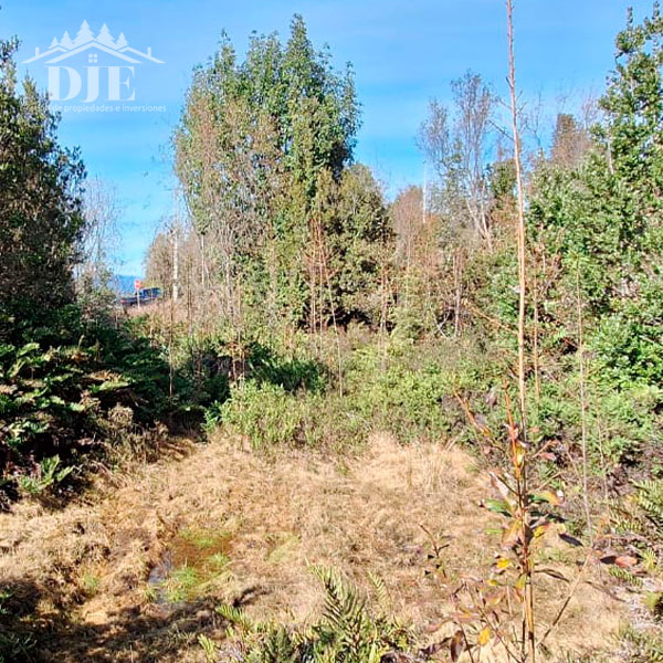 Parcela en venta en Puerto Montt — foto 1