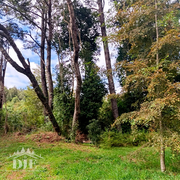 Parcela en venta en Frutillar — foto 2