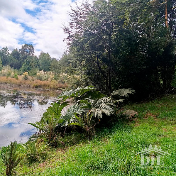 Parcela en venta en Frutillar — foto 3