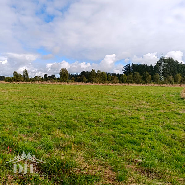 Parcela en venta en Frutillar — foto 6