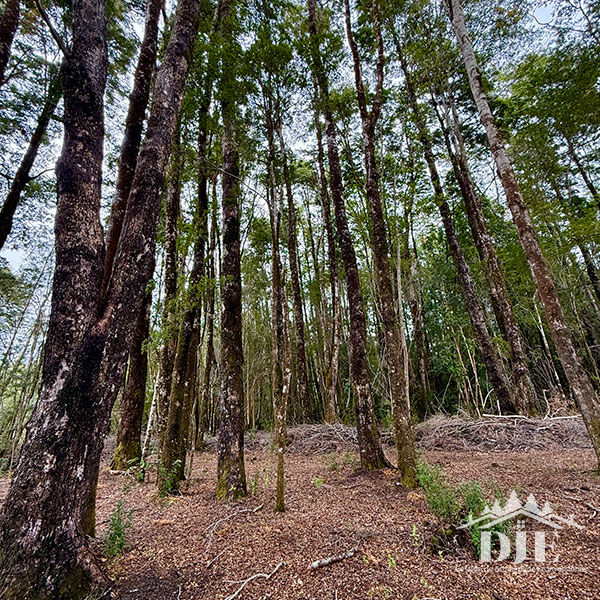 Parcela en venta en Puerto Varas — foto 4