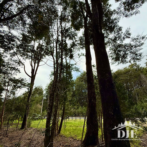 Parcela en venta en Puerto Varas — foto 6