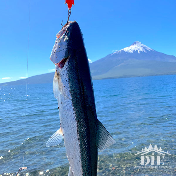 Parcela en venta en Puerto Varas — foto 10
