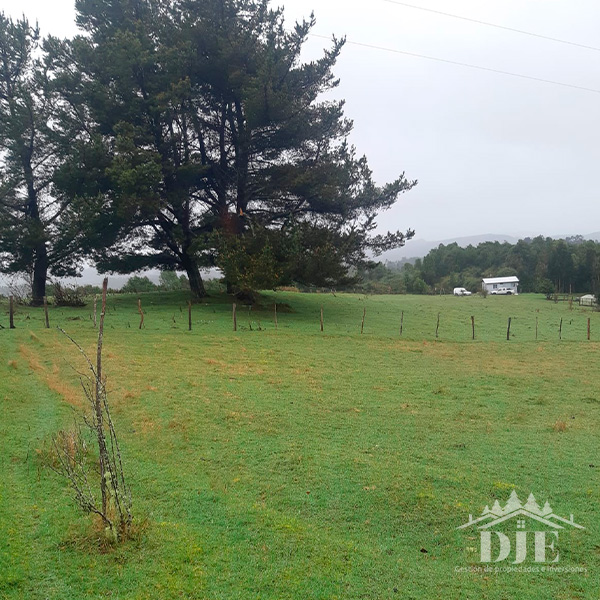Parcela en venta en Los Muermos — foto 8