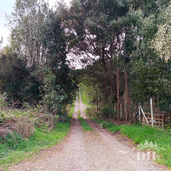 Parcela en venta en Puerto Montt — foto 2