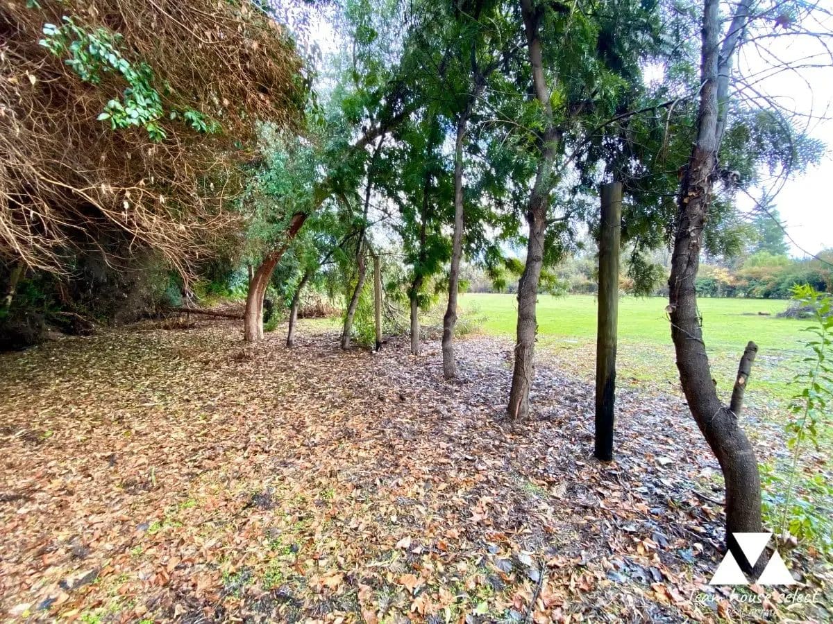 Parcela en venta en Colina — foto 3