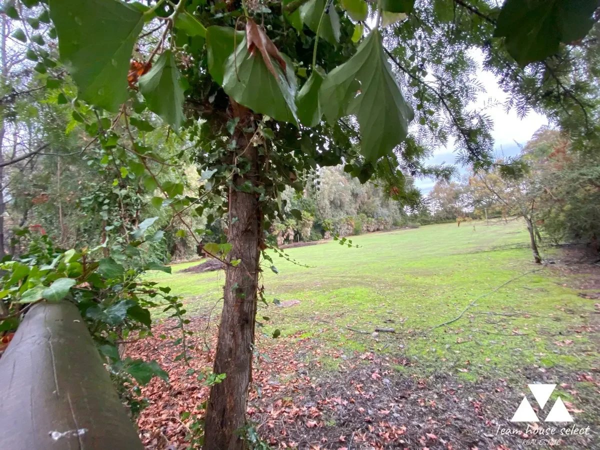 Parcela en venta en Colina — foto 5