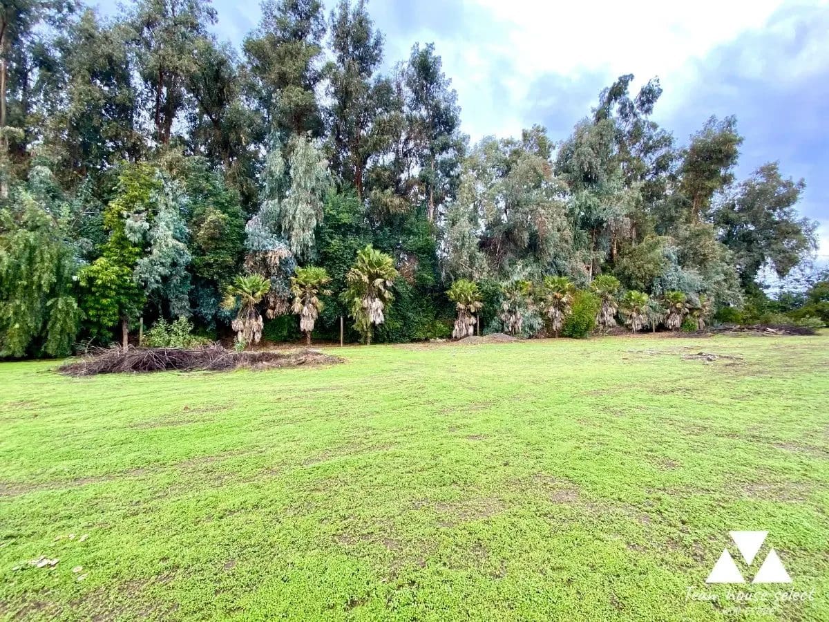 Parcela en venta en Colina — foto 9