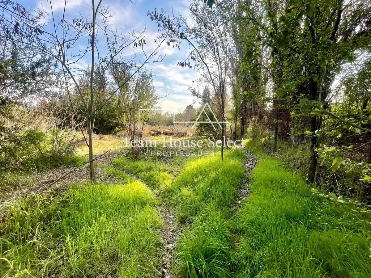 Parcela en venta en Colina — foto 7