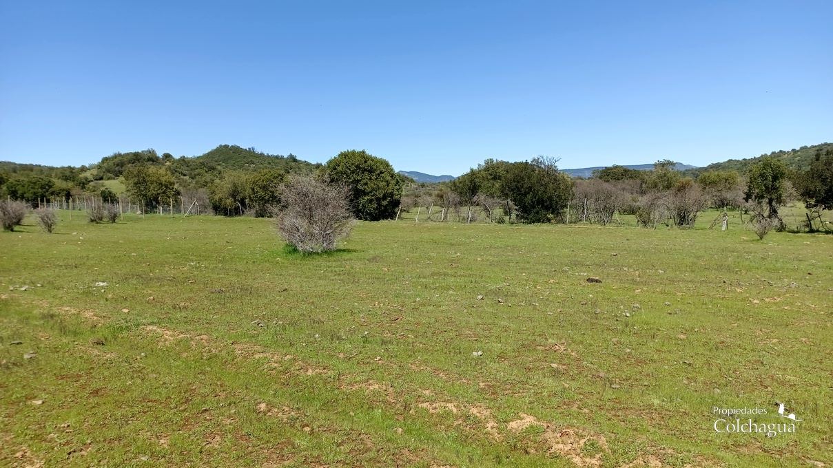 Terreno en venta en Santa Cruz — foto 3