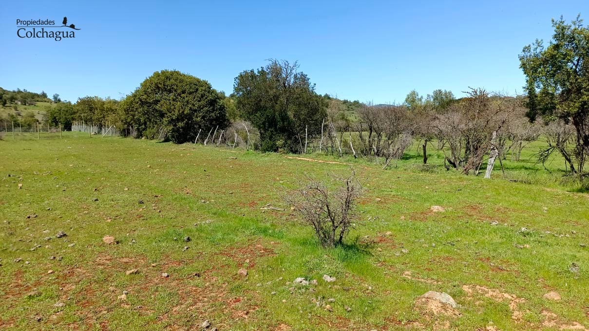 Terreno en venta en Santa Cruz — foto 5