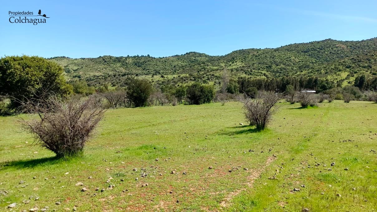 Terreno en venta en Santa Cruz — foto 9