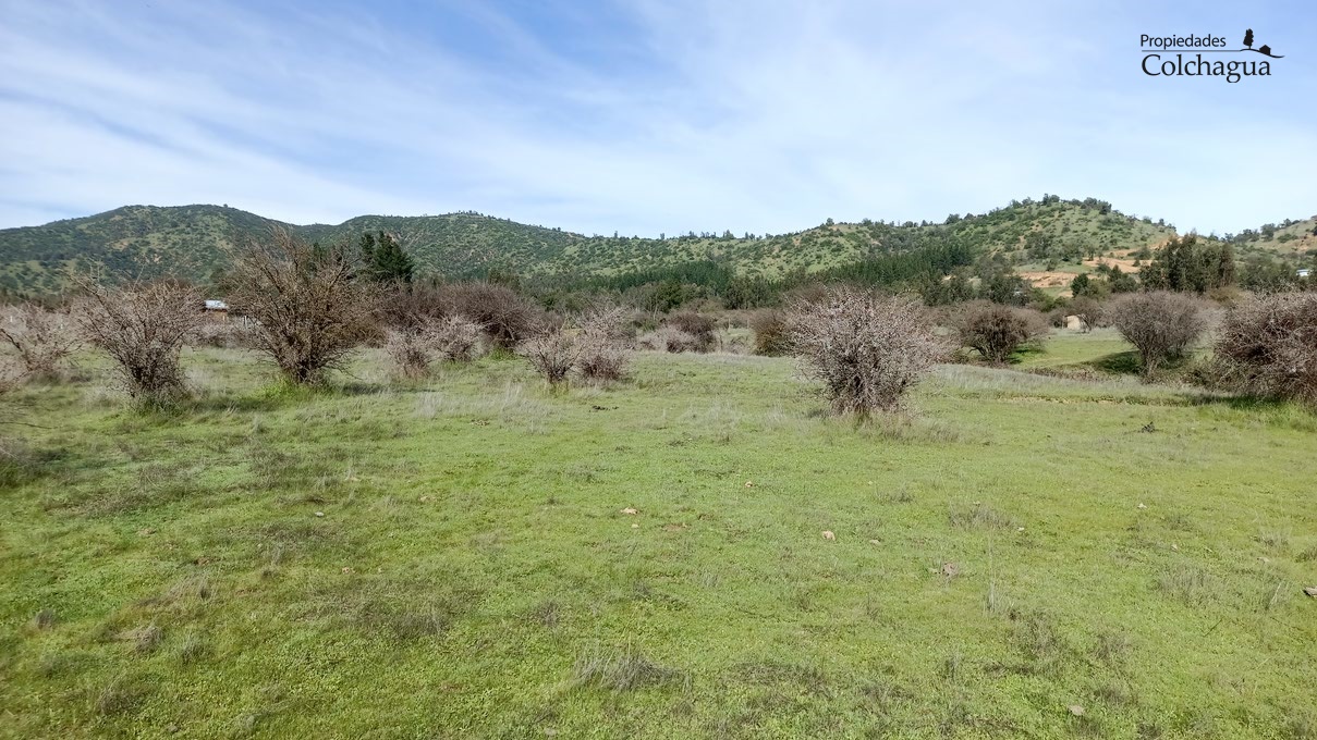 Terreno en venta en Pumanque — foto 1