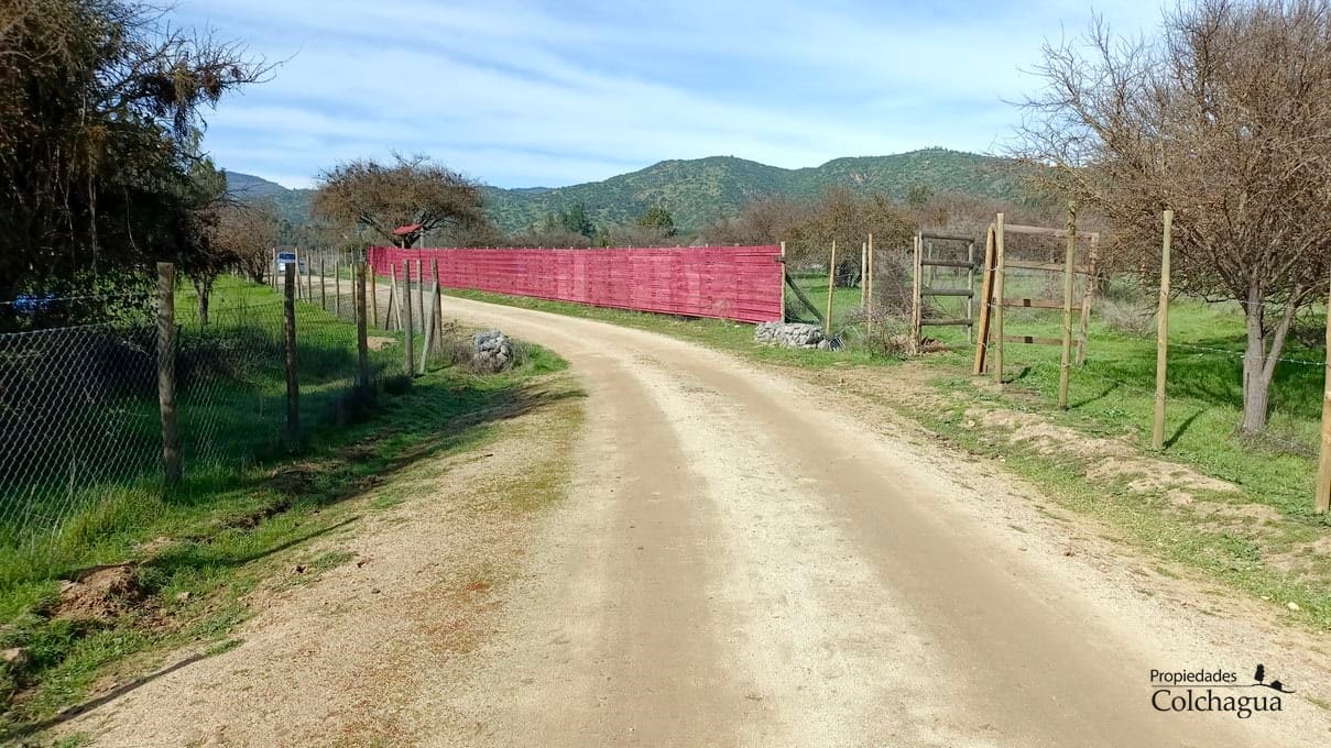 Terreno en venta en Pumanque — foto 2