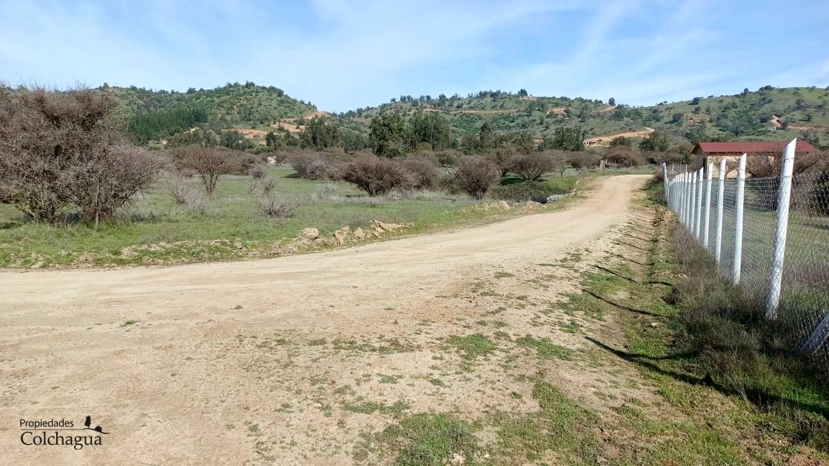 Terreno en venta en Pumanque — foto 3