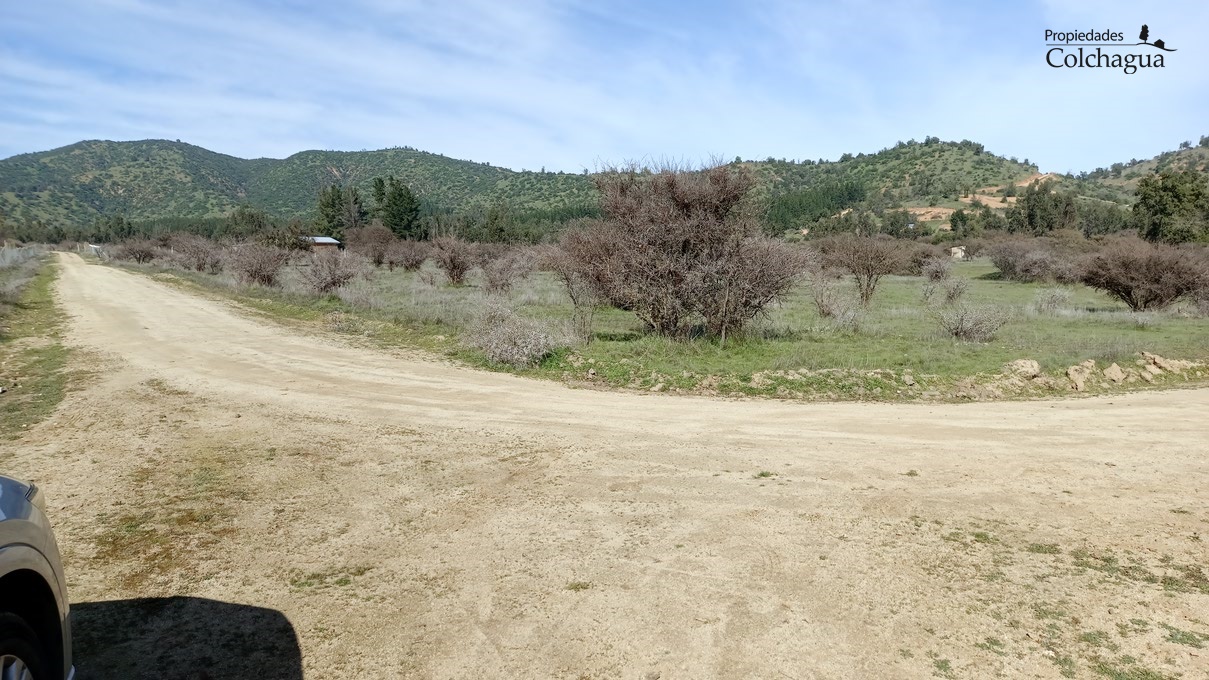 Terreno en venta en Pumanque — foto 4