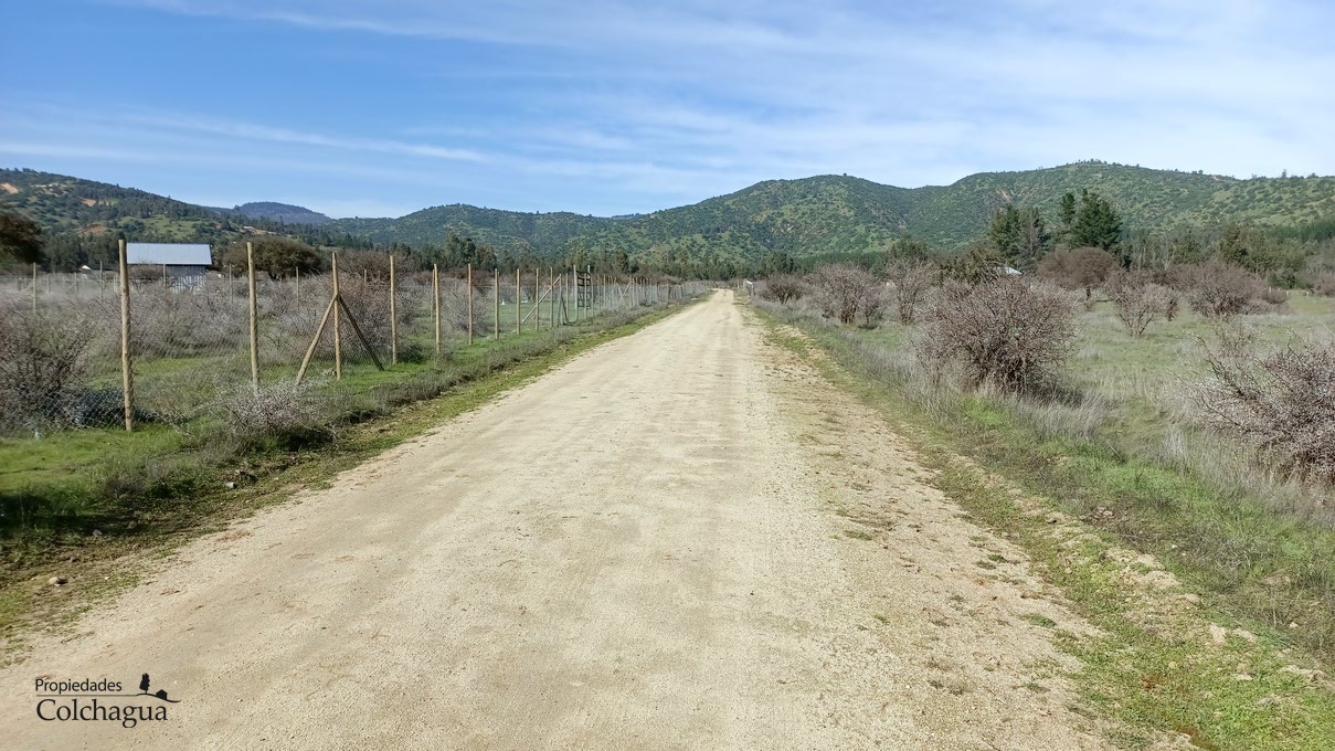 Terreno en venta en Pumanque — foto 6