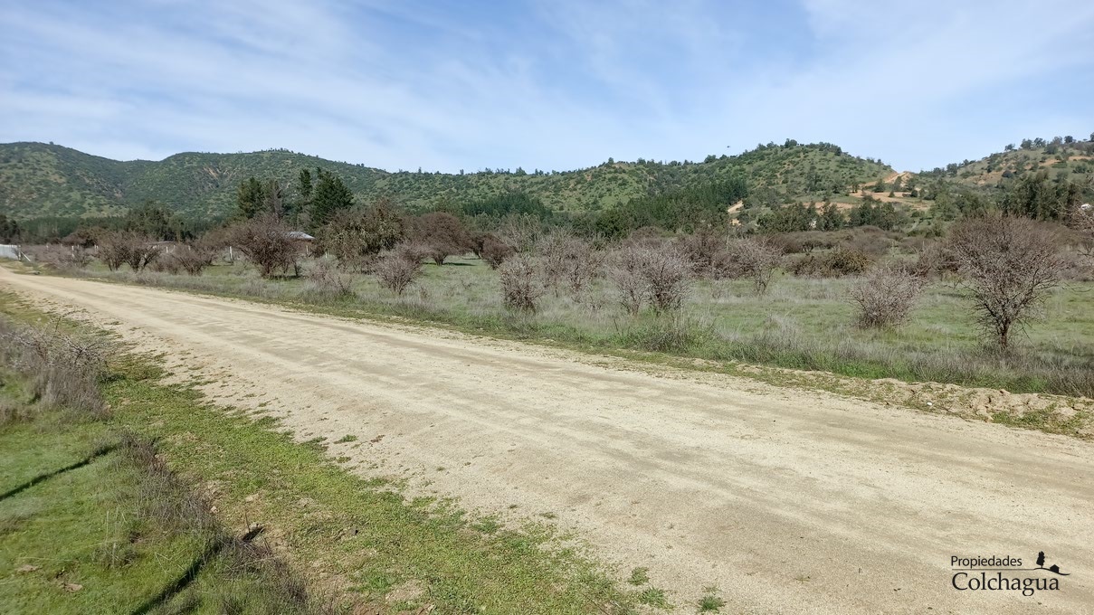 Terreno en venta en Pumanque — foto 8