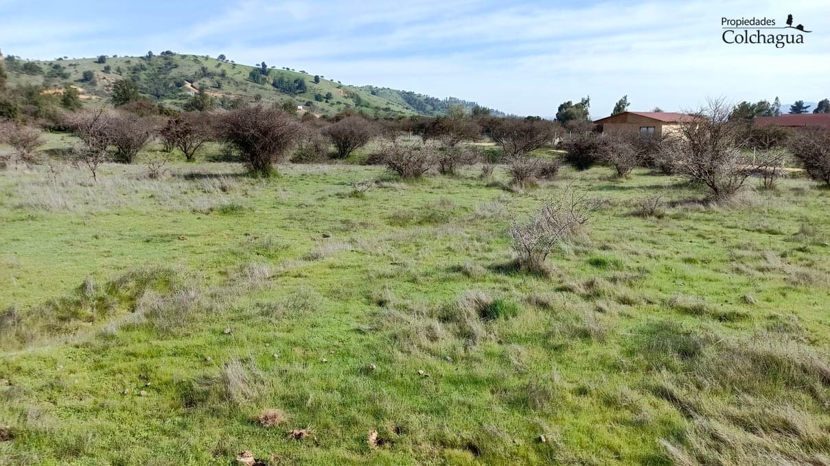 Terreno en venta en Pumanque — foto 9