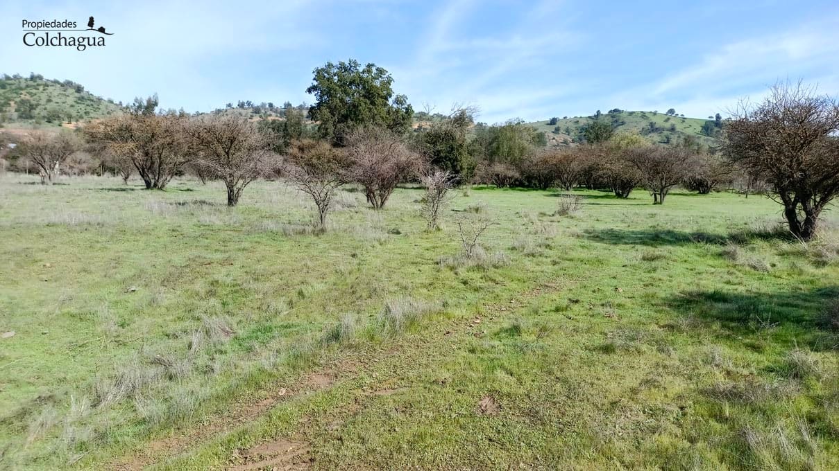 Terreno en venta en Pumanque — foto 10