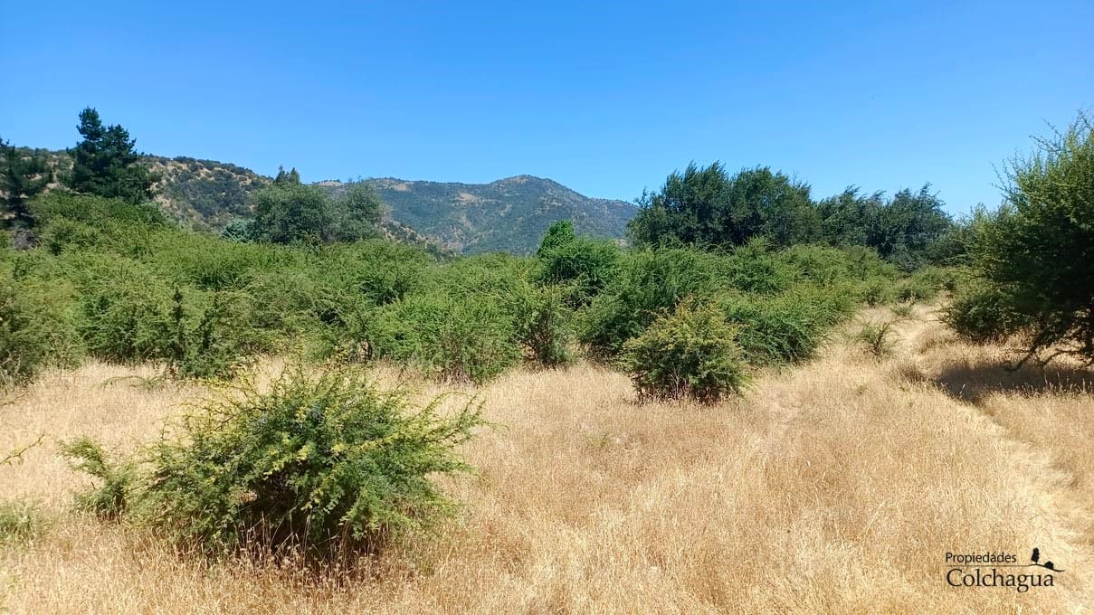 Terreno en venta en Chépica — foto 3