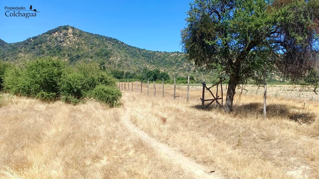 Terreno en venta en Chépica — foto 4