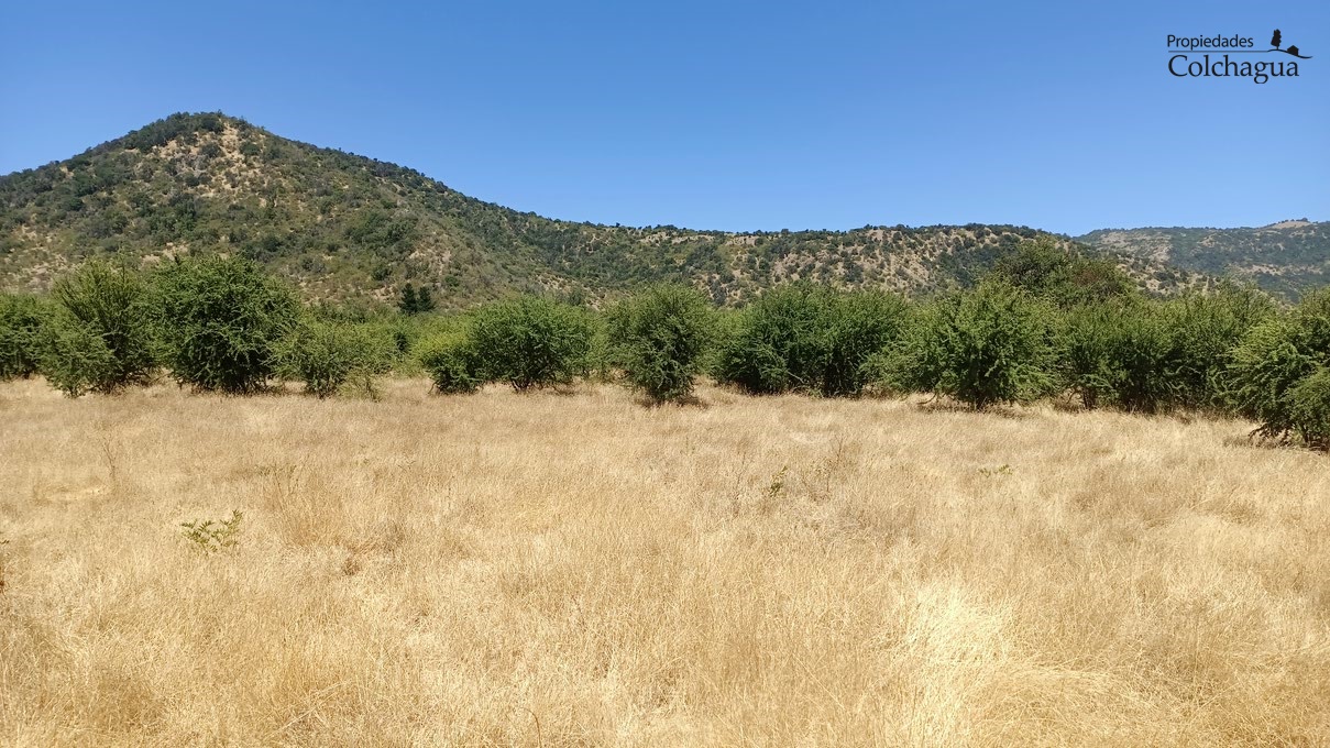 Terreno en venta en Chépica — foto 5