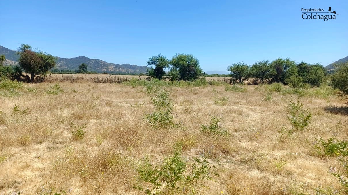 Terreno en venta en Chépica — foto 7