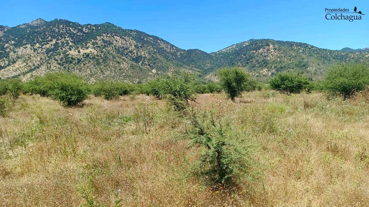 Terreno en venta en Chépica — foto 8