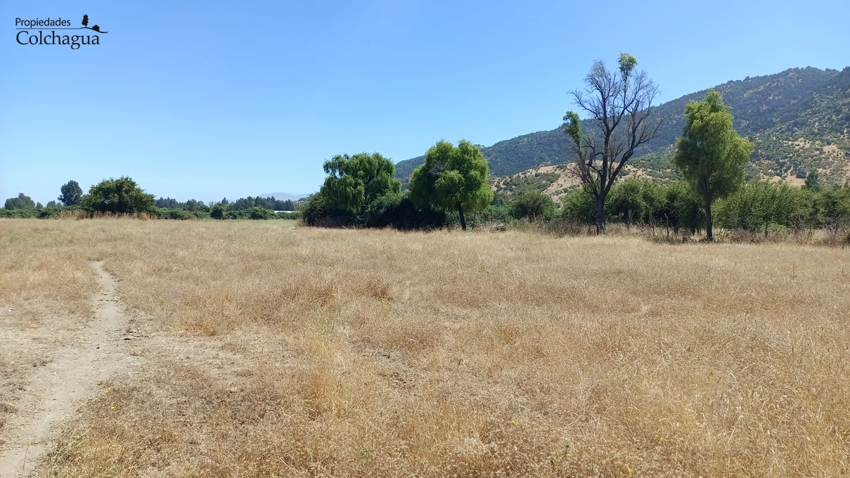 Terreno en venta en Chépica — foto 9