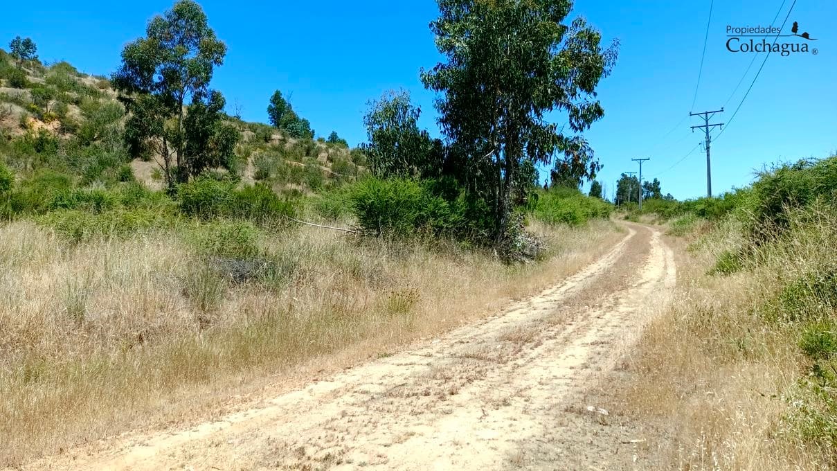Terreno en venta en Lolol — foto 3