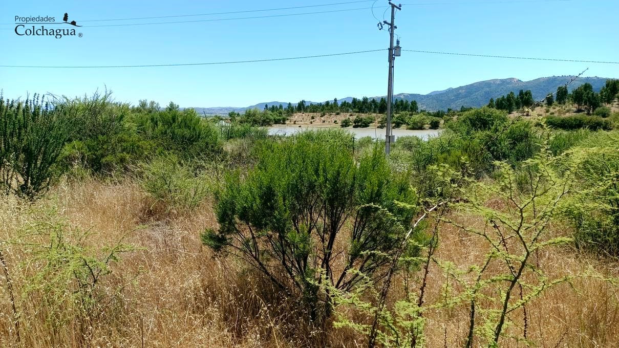 Terreno en venta en Lolol — foto 6