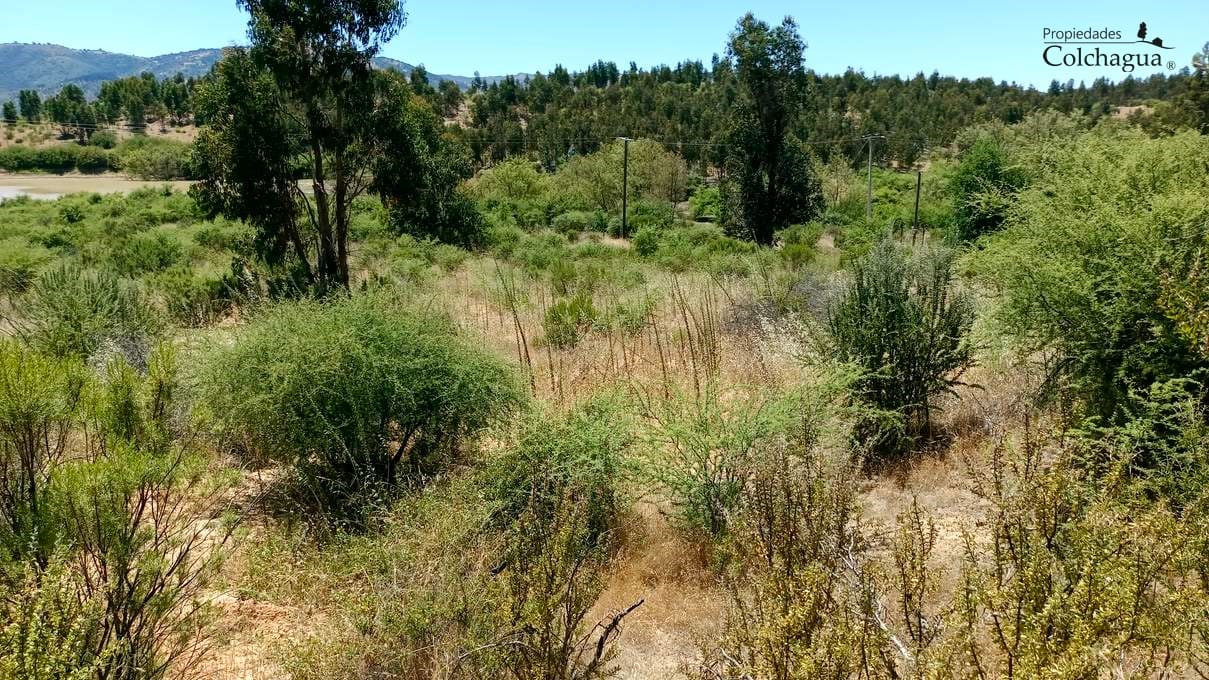 Terreno en venta en Lolol — foto 7