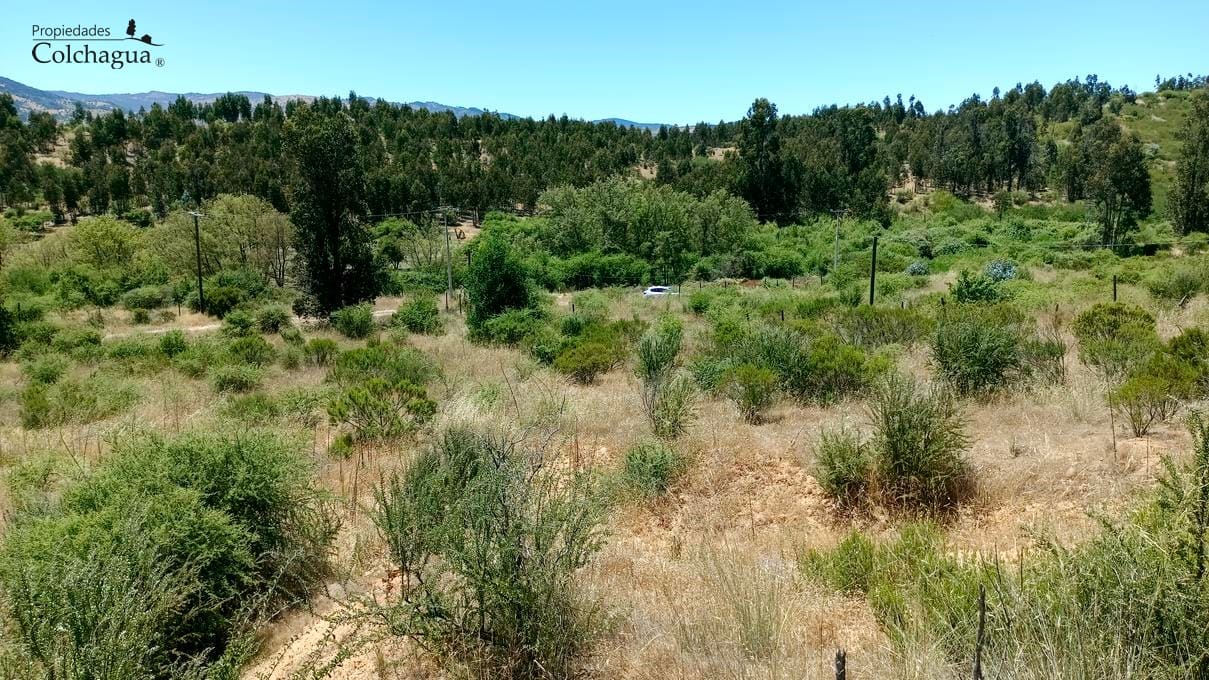 Terreno en venta en Lolol — foto 8